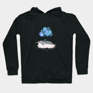 Save the Dolphins Hoodie